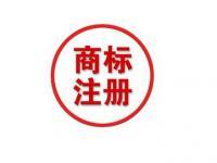 專利申請與商標(biāo)代理 保護(hù)創(chuàng)新與品牌的關(guān)鍵步驟